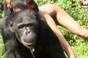 cassino - Mulheres transando com macaco